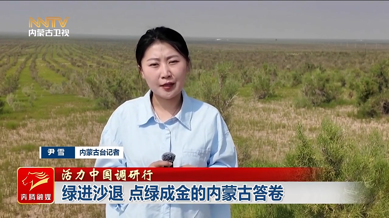视频截图