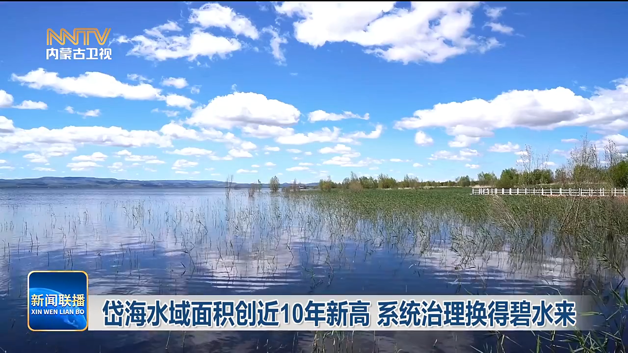 视频截图