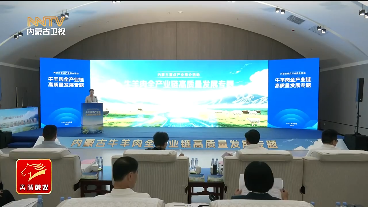 视频截图