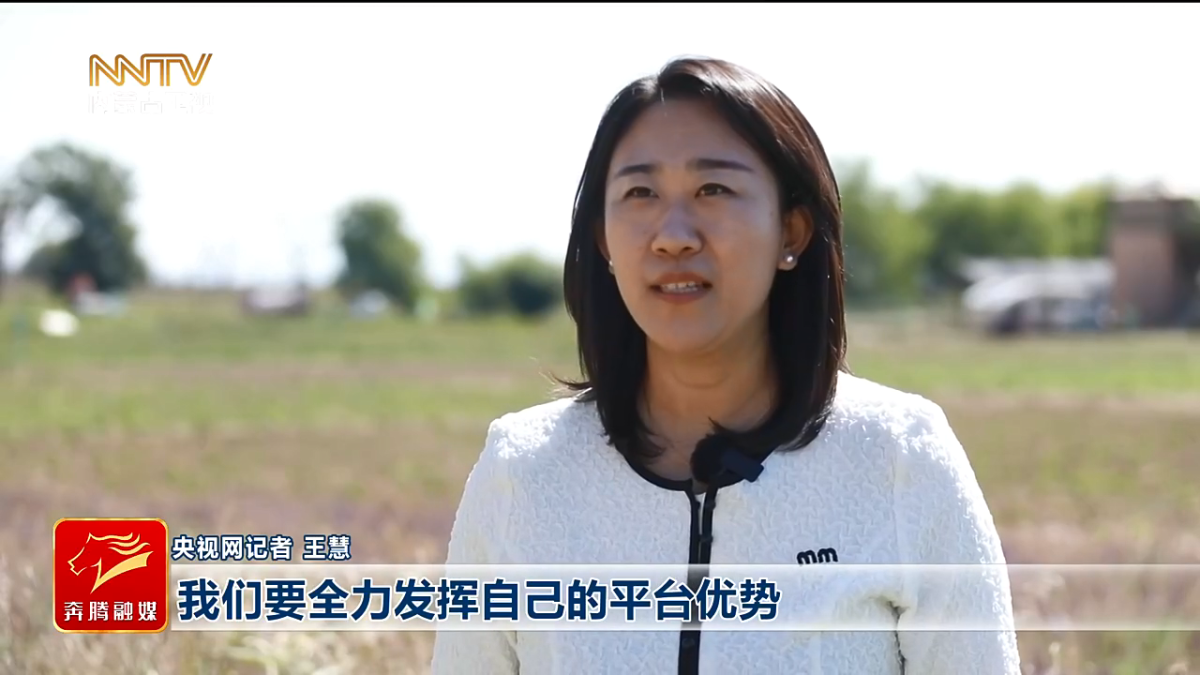 视频截图