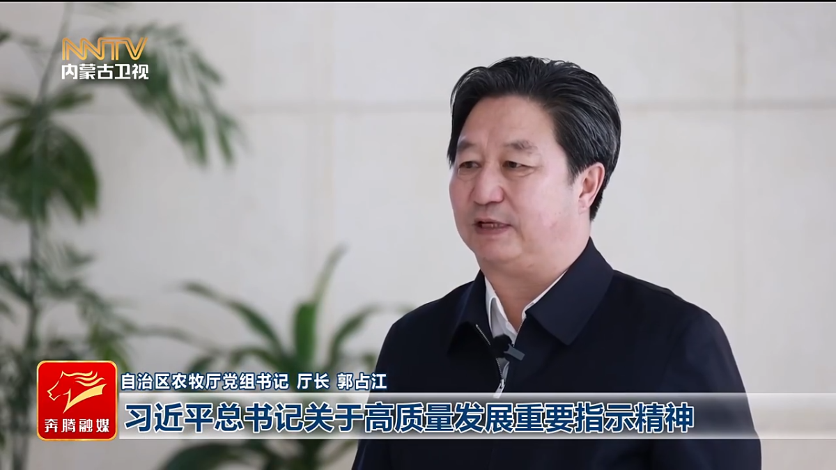 视频截图