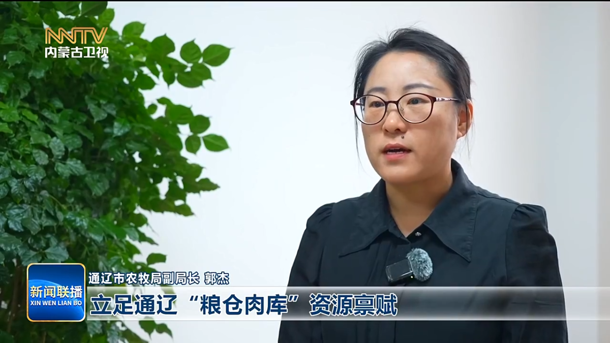 视频截图