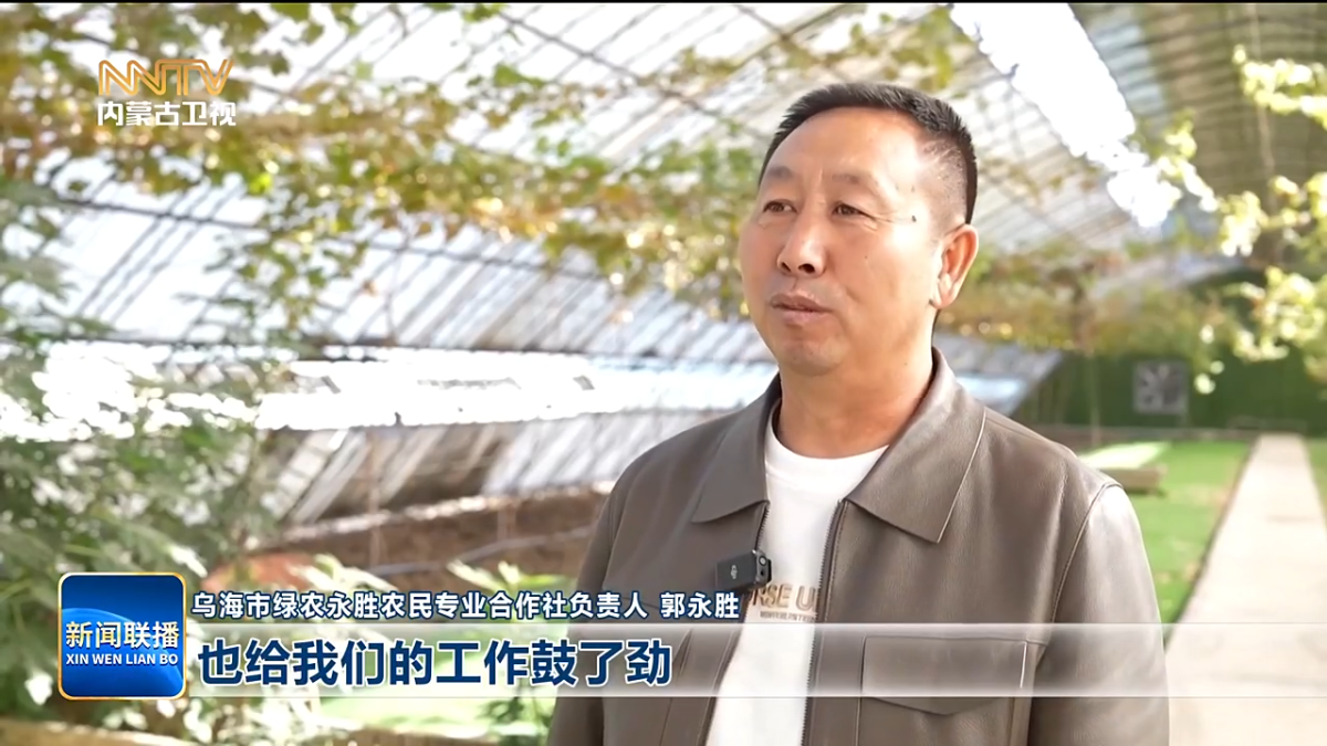 视频截图