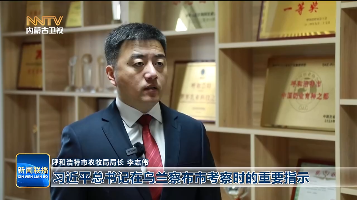 视频截图