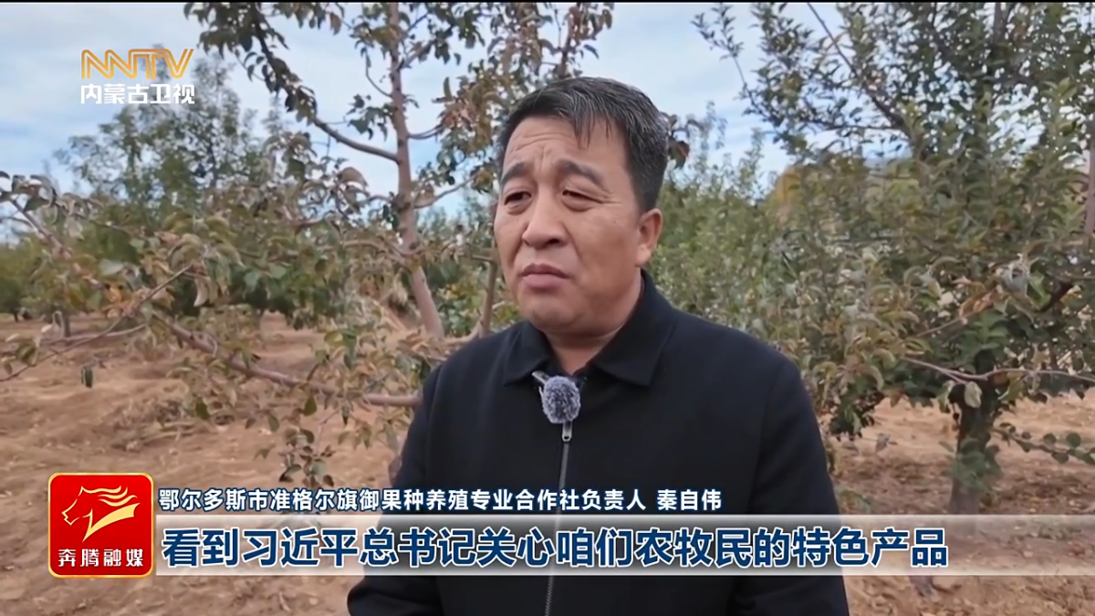 视频截图