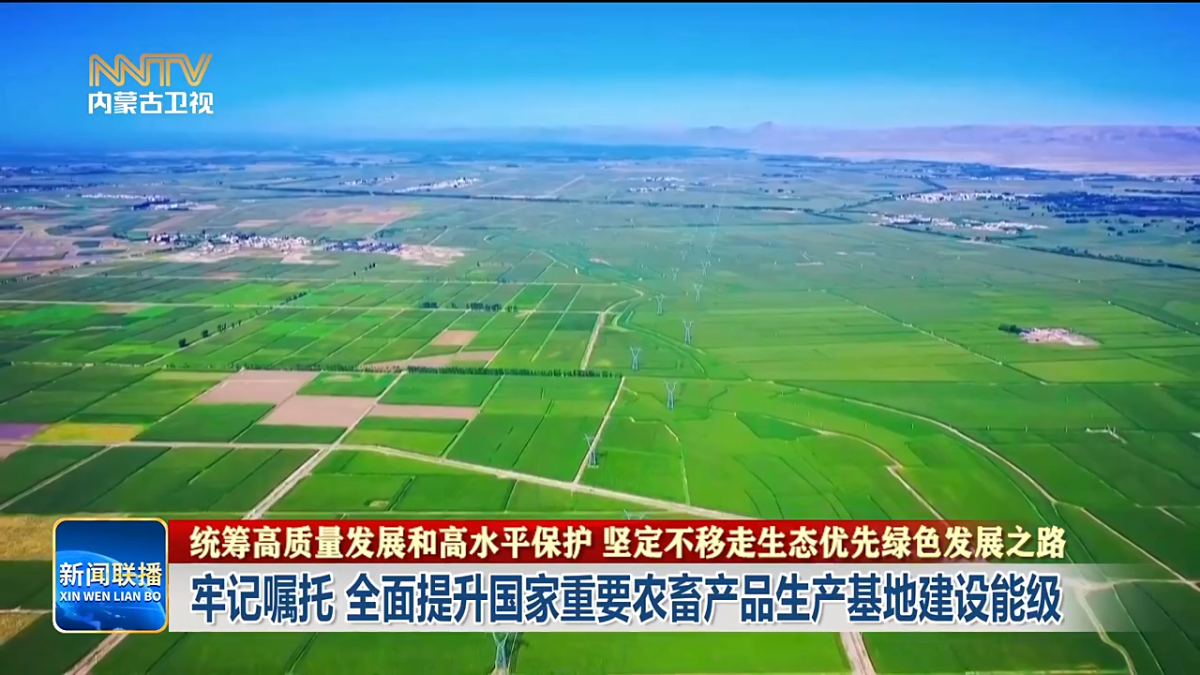 视频截图
