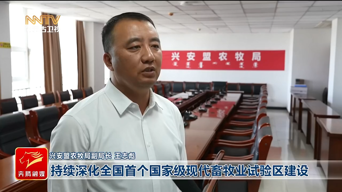 视频截图